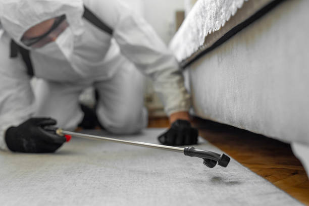 Professional Cockroach Control technician working in Burbank, IL